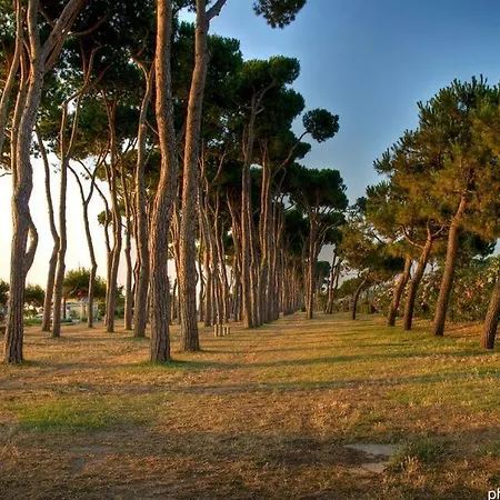 Apartman Bay A18 - *