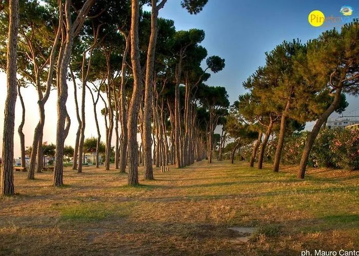 Apartman Bay A18 - *